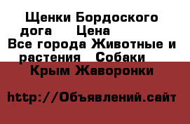 Щенки Бордоского дога.  › Цена ­ 30 000 - Все города Животные и растения » Собаки   . Крым,Жаворонки